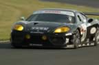 040609_dd_0457.jpg (43kb)