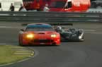 040609_dd_0479.jpg (40kb)