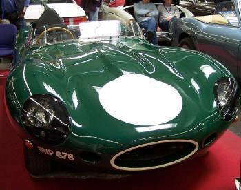 jaguar-195x.jpg